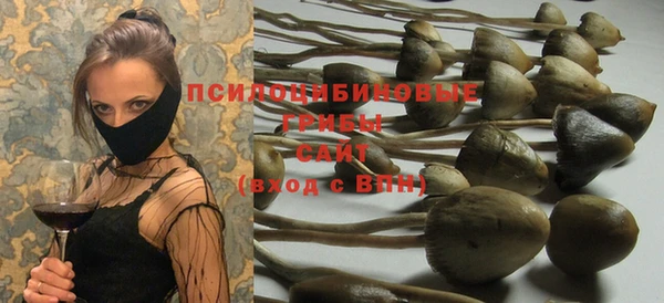 ешки Козловка