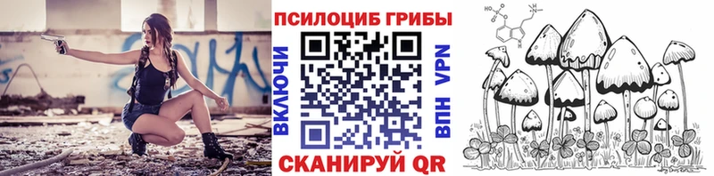 Псилоцибиновые грибы Psilocybe ОМГ ОМГ ССЫЛКА мориарти клад Киселёвск