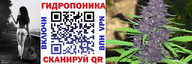 Каннабис LSD WEED  дарнет шоп  Киселёвск 